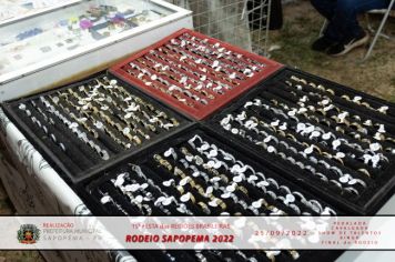 Foto - 15ª Festa das Regiões Brasileiras - Rodeio Sapopema 2022 